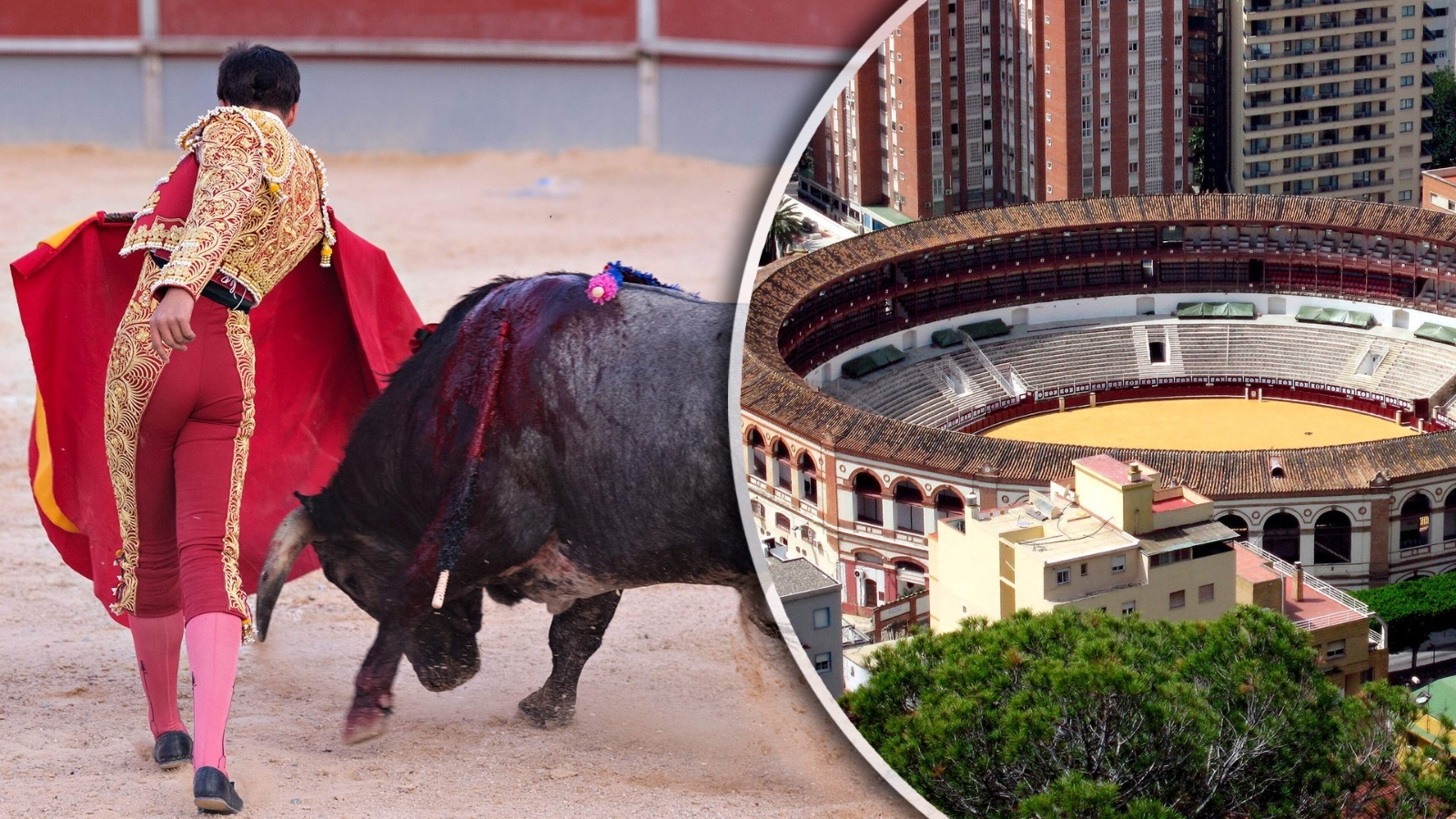 Spaanse ex-stierenvechter (51) gedood door stier